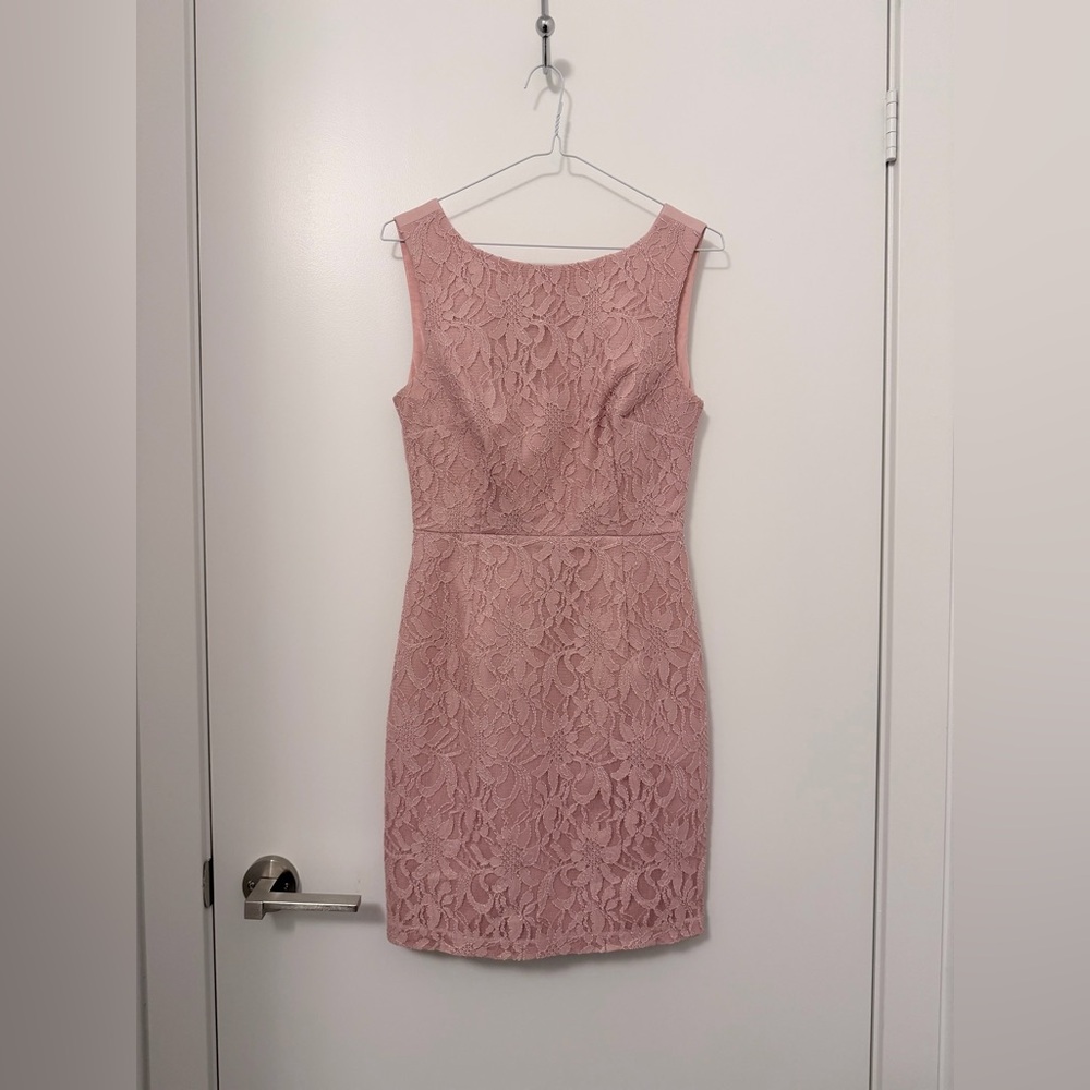 Le Chateau Sleeveless Lace Sheath Dress in Blush Pink